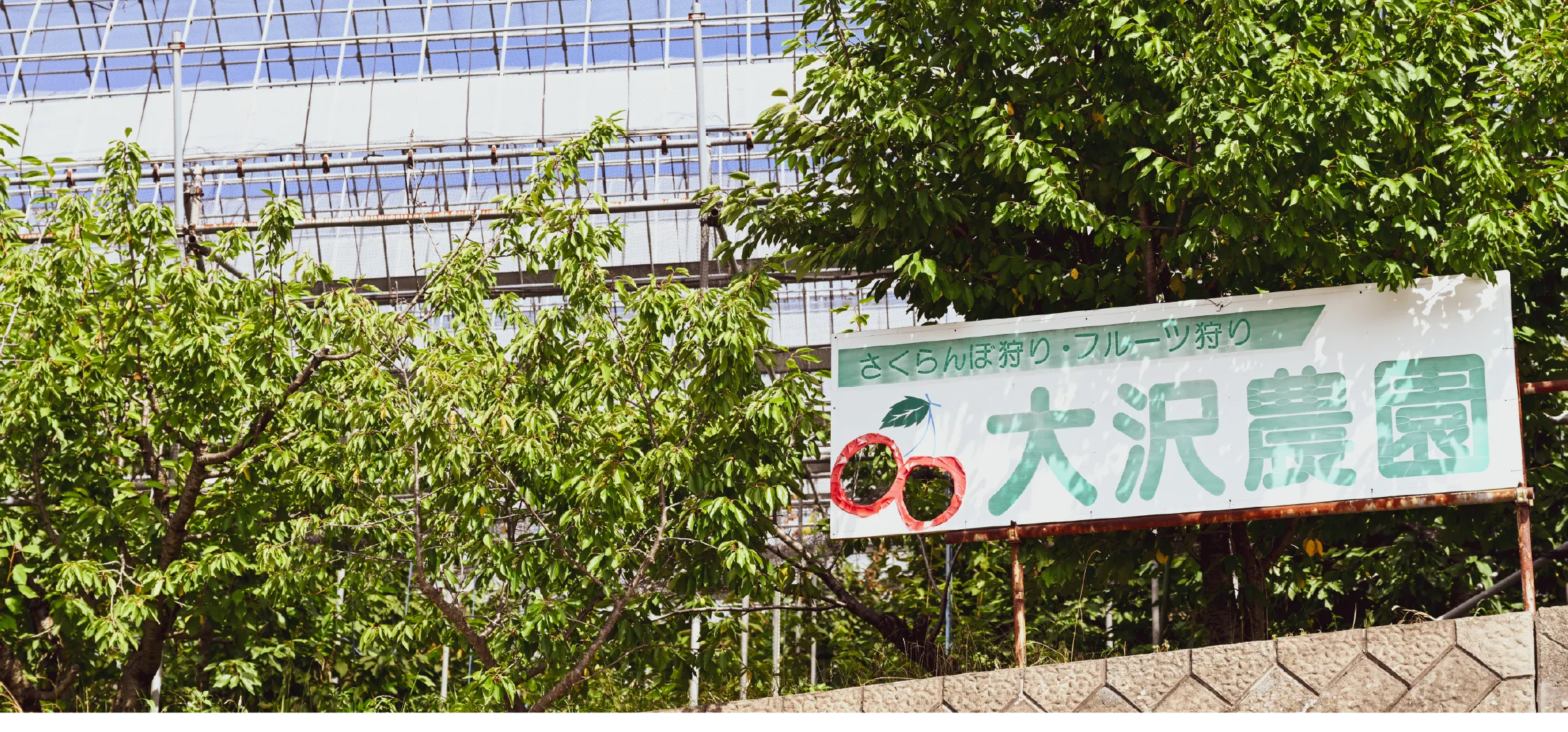 フルーツ狩りは大沢農園 山梨県山梨市 大沢農園からのお知らせ