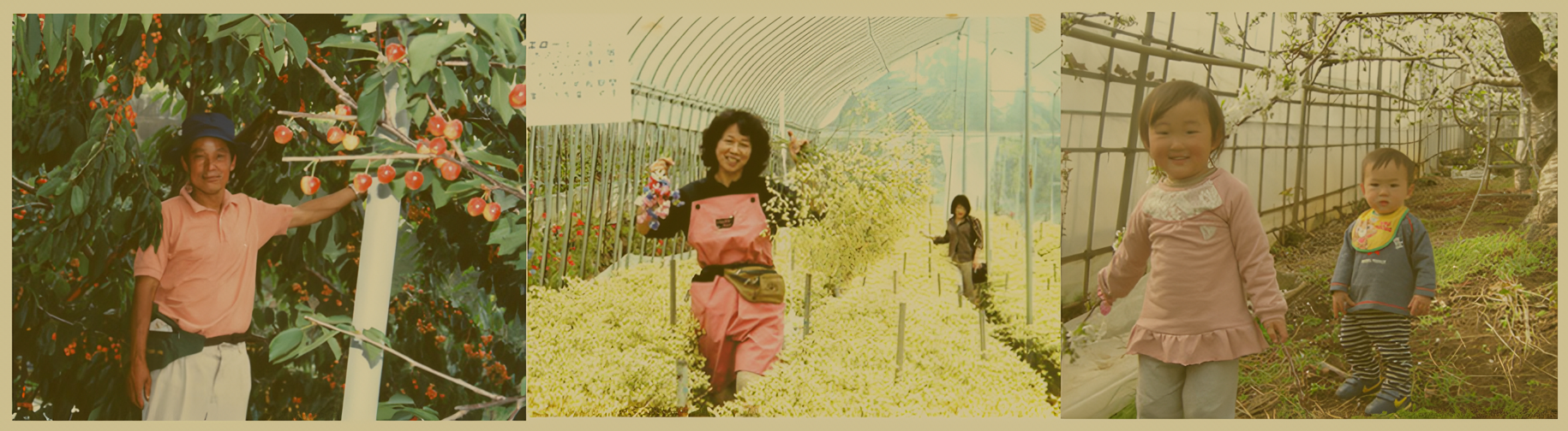 大沢農園 大沢農園の歴史