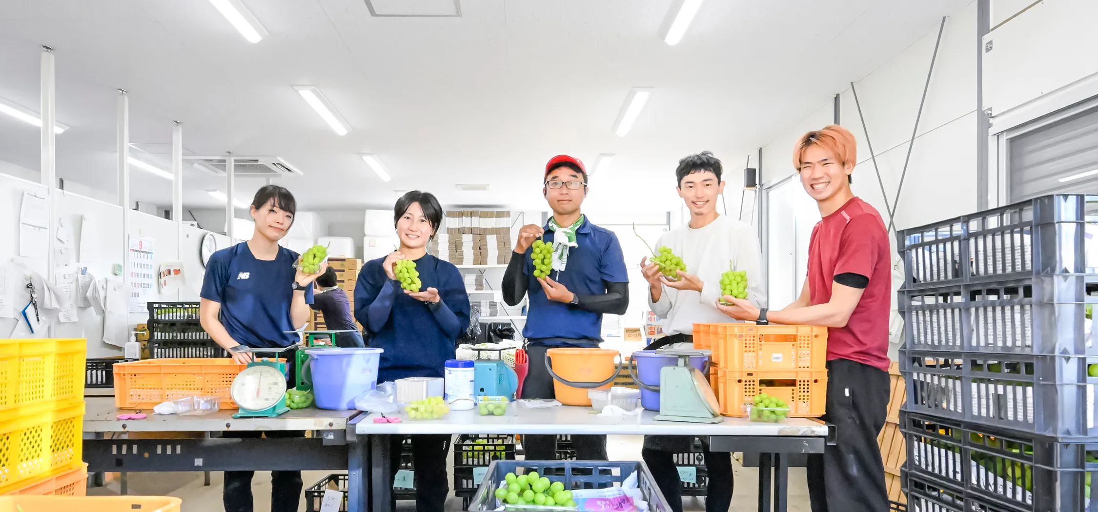 大沢農園 大沢農園について