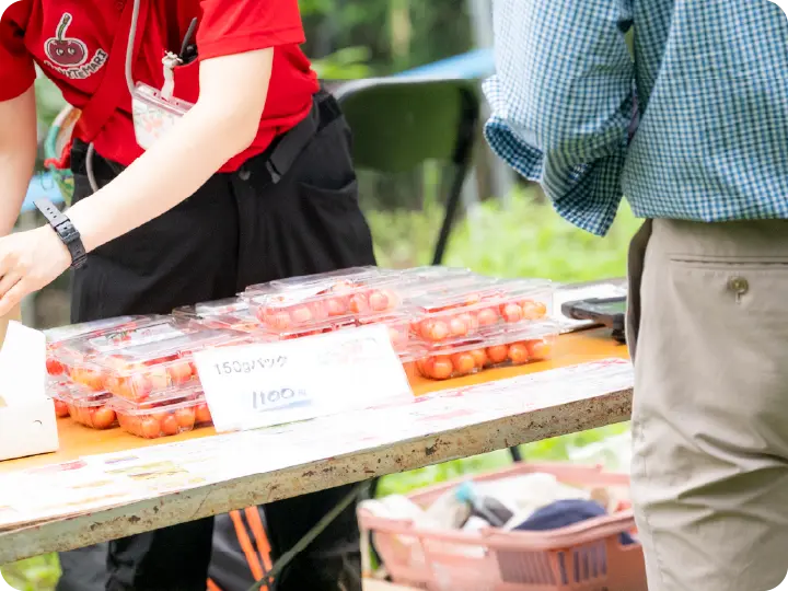 さくらんぼ狩りの当日の流れ 5 お土産