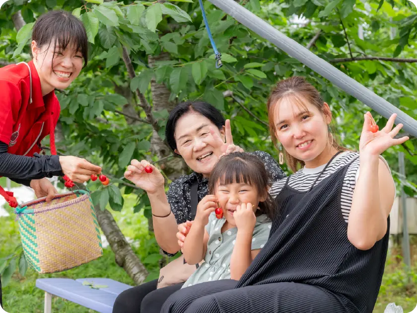 大沢農園 サクランボ狩りの料金について