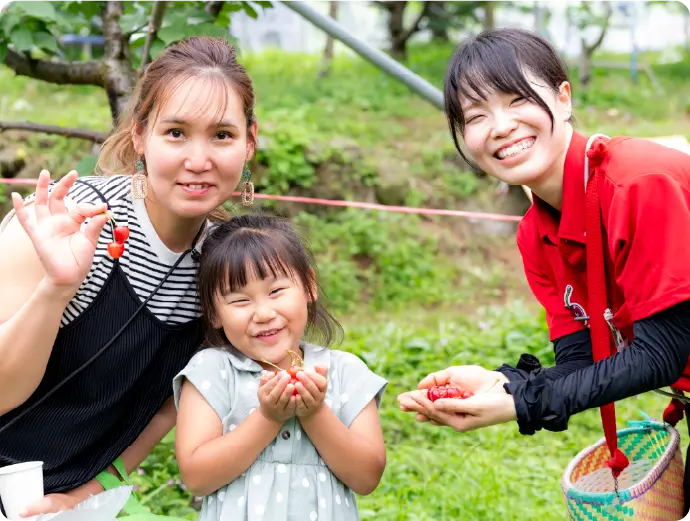 大沢農園 さくらんぼ狩りの様子