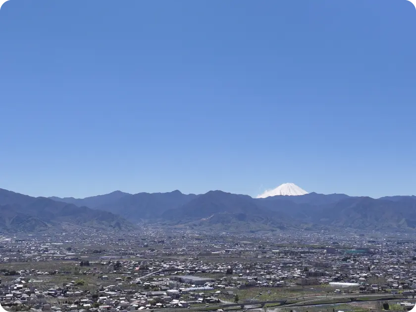 大沢農園 さくらんぼ狩りのこだわり