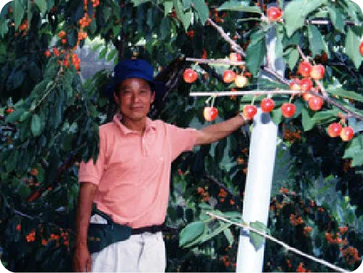 大沢農園 大沢農園の歴史