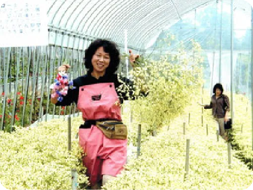 大沢農園 大沢農園の歴史