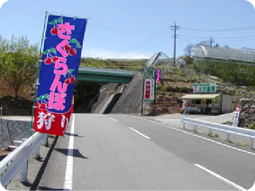 大沢農園 大沢農園の歴史