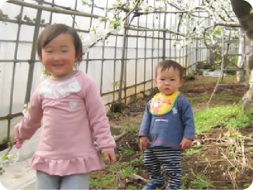 大沢農園 大沢農園の歴史
