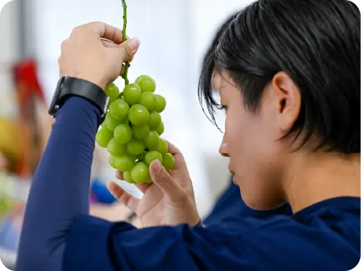 大沢農園で働く様子