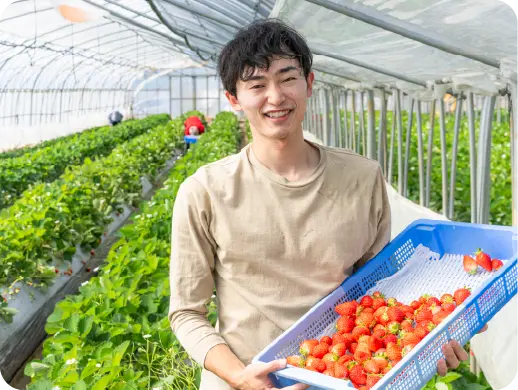 大沢農園で働く様子