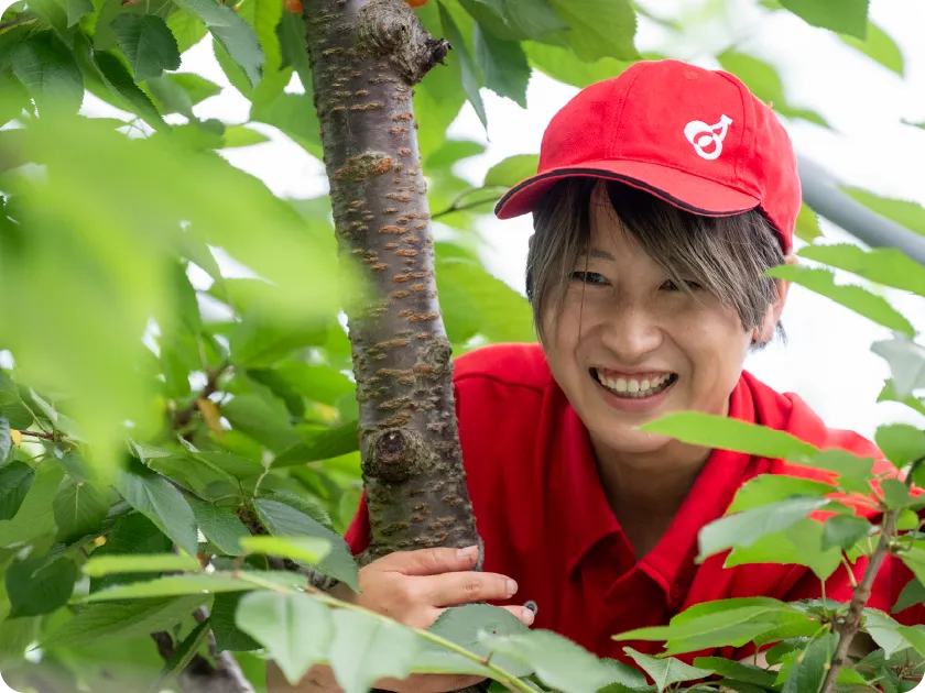 大沢農園 採用情報 インタビュー