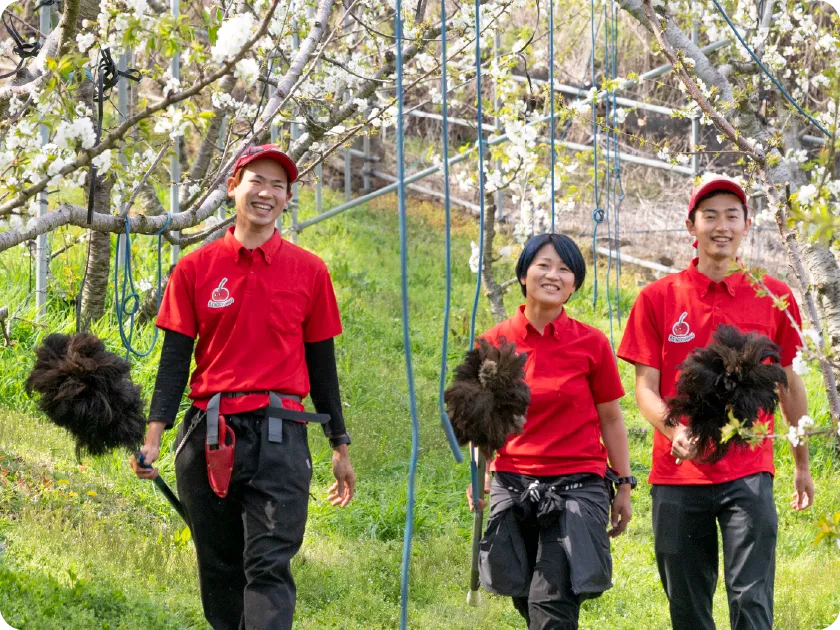 大沢農園 採用情報 インタビュー