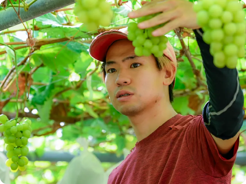 大沢農園 採用情報 インタビュー