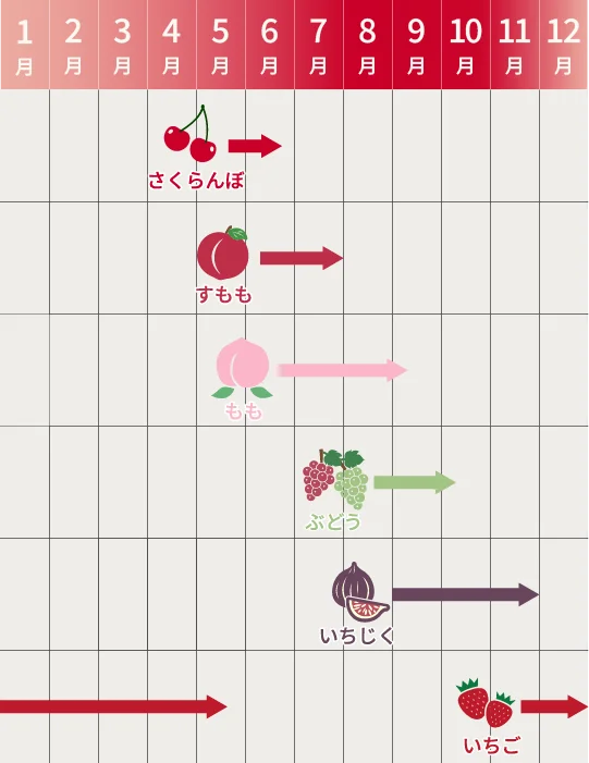 月別販売フルーツ一覧
